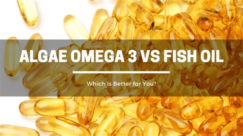 algae omega vs fish oil